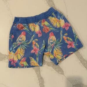 Chubbies Floral Parrot 7” Sweat Shorts Men's Small Blue Tropical Lounge Summer